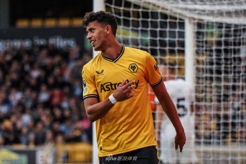 局限于电视 局限于电视